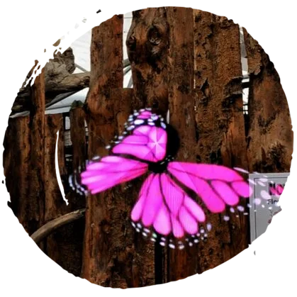 hologramme flashboutic 360-hologramme-flashboutic
